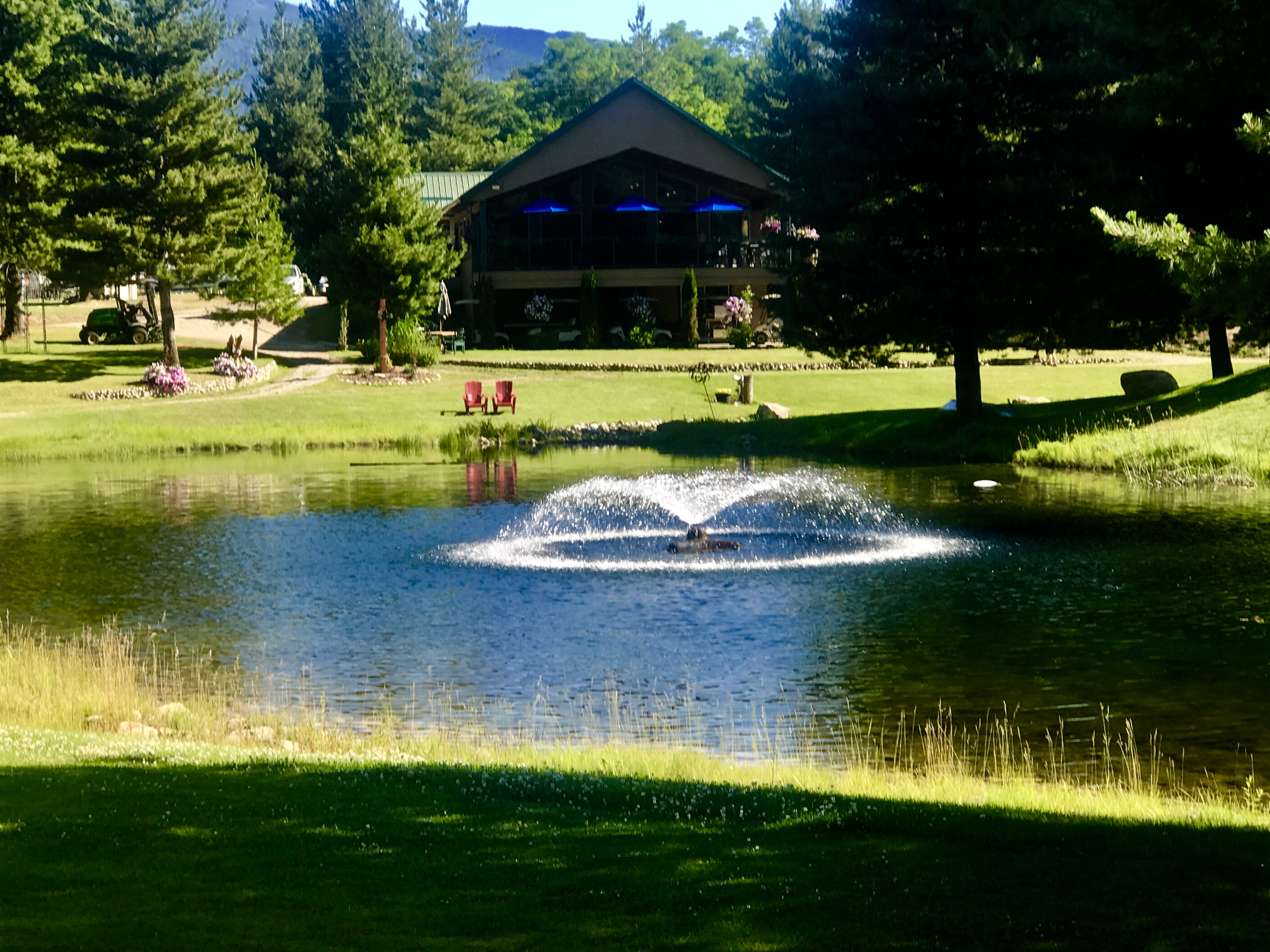 Golf_little_bear