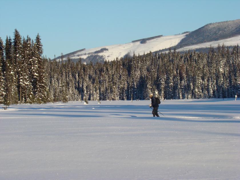 Castlegar-in-the-Winter-6