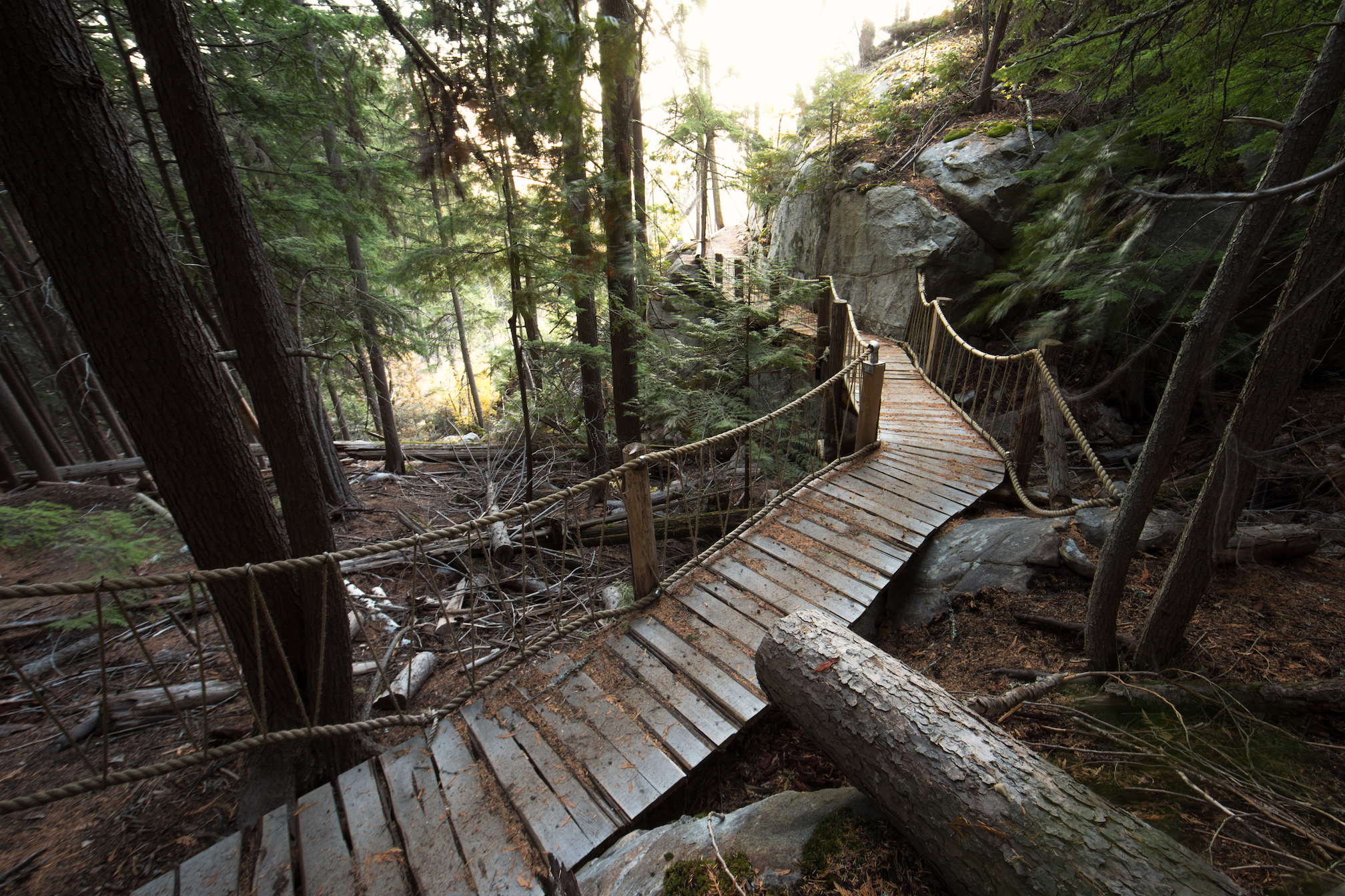 Top_Mountain_Bike_Trails_Castlegar_1