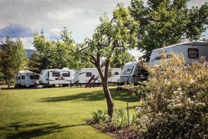 best-camping-spots-in-castlegar-15