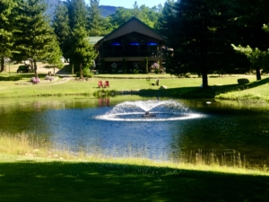 Golf_little_bear