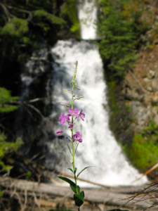 castlegar-waterfalls-deer-creek