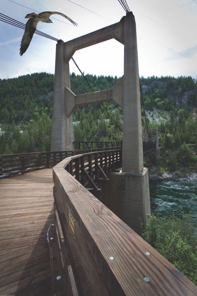 Brilliant Suspension Bridge