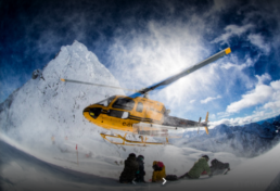 stellar heliskiing