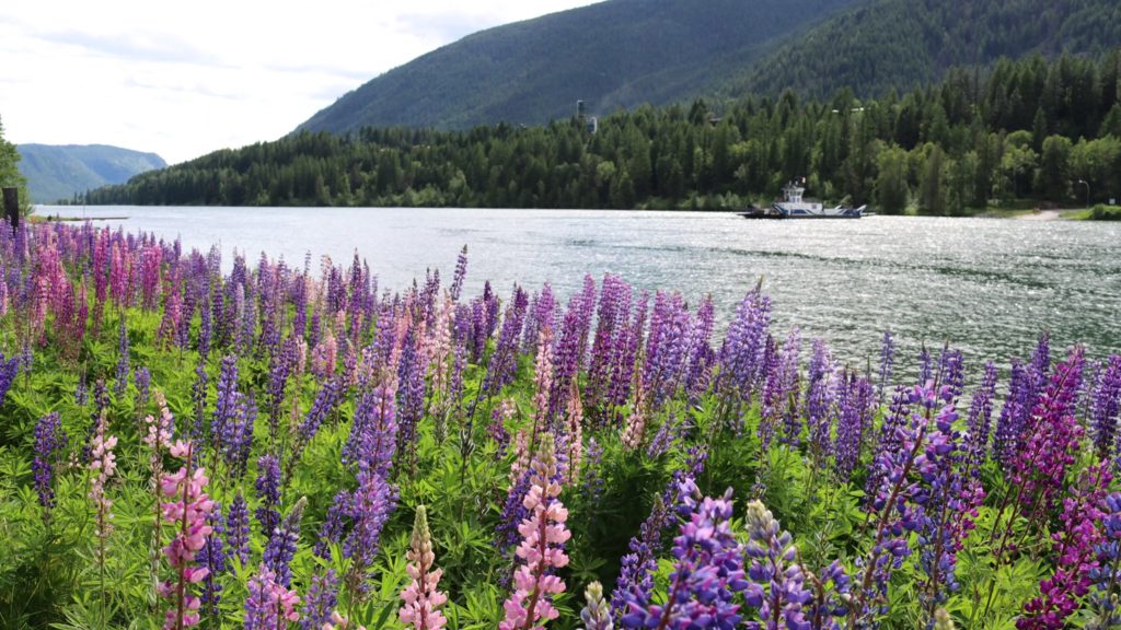 places to visit in castlegar bc