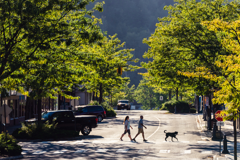 33 Places To Take Your Dog in Castlegar Destination Castlegar