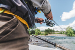 walleye, trout, Castlegar